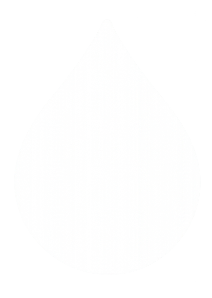 PT Icon